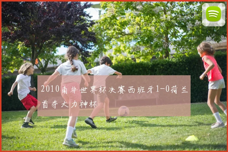 2010南非世界杯决赛西班牙1-0荷兰首夺大力神杯