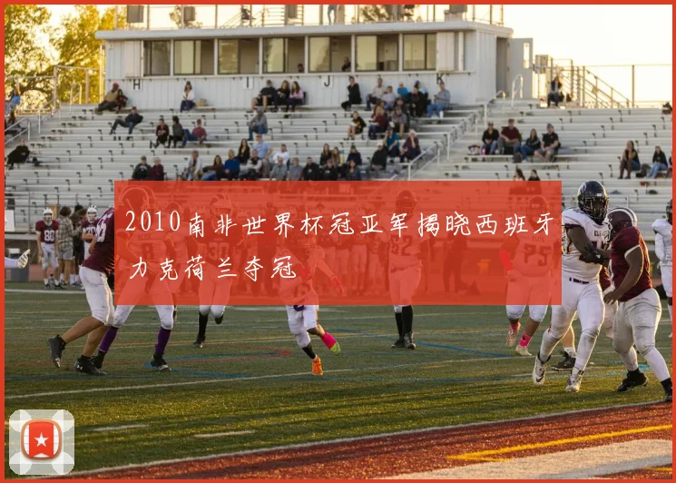 2010南非世界杯冠亚军揭晓西班牙力克荷兰夺冠