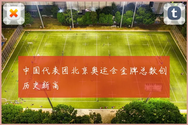 中国代表团北京奥运会金牌总数创历史新高