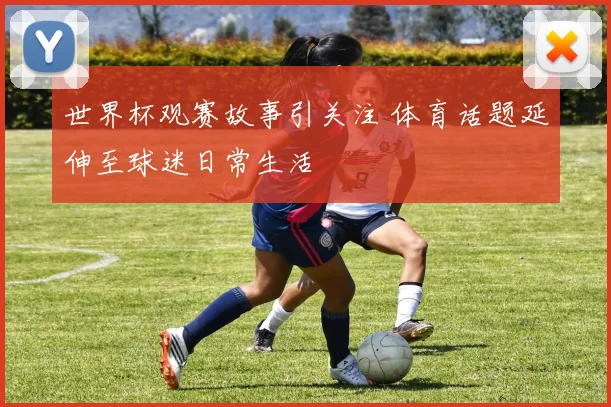世界杯观赛故事引关注 体育话题延伸至球迷日常生活