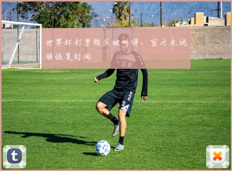 世界杯彩票购买被叫停,官方未说明恢复时间