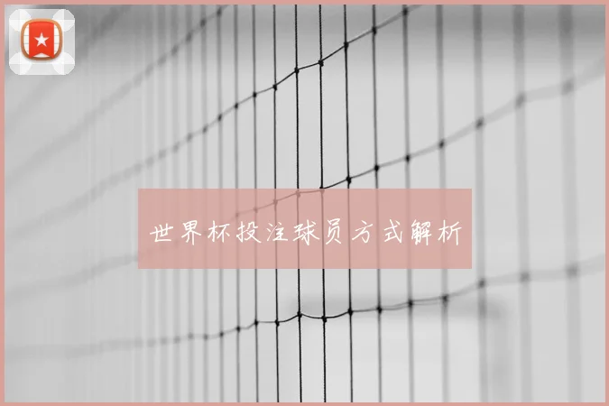 世界杯投注球员方式解析