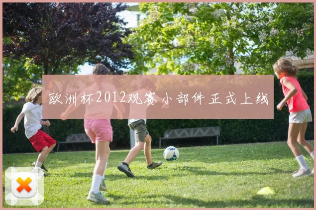 欧洲杯2012观赛小部件正式上线